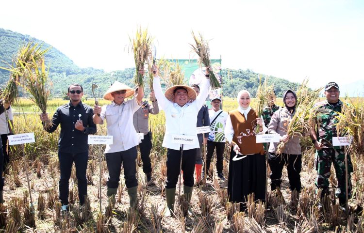 Bupati dan Wabup Garut Ikuti Panen Raya Serentak di Jalan Lingkar Baru Kadungora, Garut