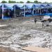 Presiden Prabowo menjajal drone penebaran benih padi yang dapat menjangkau 25 hektare lahan dalam waktu sehari/ Setkab