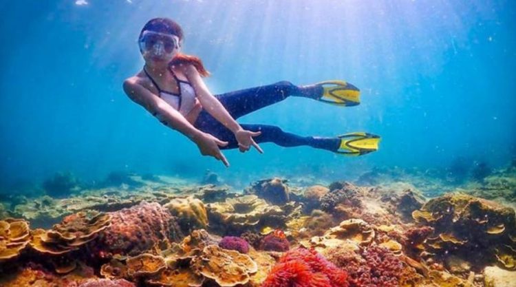 Ilustrasi Rusaknya Ekosistem Laut di Pulau Pari Kepulauan Seribu