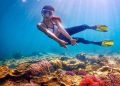 Ilustrasi Rusaknya Ekosistem Laut di Pulau Pari Kepulauan Seribu