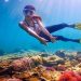 Ilustrasi Rusaknya Ekosistem Laut di Pulau Pari Kepulauan Seribu