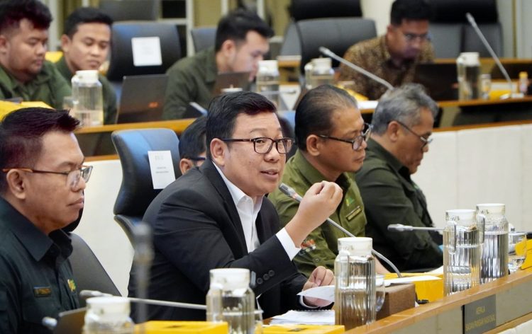 Kepala Badan Pangan Nasional/NFA, Arief Prasetyo Adi saat Rapat Dengar Pendapat di DPR RI