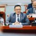 Menteri Luar Negeri Sugiono
