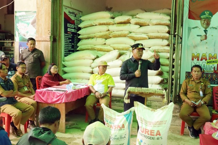 Bupati Mamasa, Welem Sambolangi menghadiri Launching Program Pupuk Gratis tahun 2025 di Kecamatan Tandukkalua