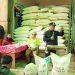Bupati Mamasa, Welem Sambolangi menghadiri Launching Program Pupuk Gratis tahun 2025 di Kecamatan Tandukkalua