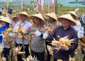 Kapolda Jawa Barat Irjen Pol. Rudi Setiawan Hadiri Panen Raya Serentak Kuartal III Tahun 2025, Sabtu (27/9/2025), di, Kampung Tagog, Desa Sukaluyu, Kecamatan Sukawening, Kabupaten Garut, Jawa Barat.