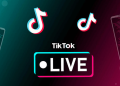 Ilustrasi Live Tiktok/ist