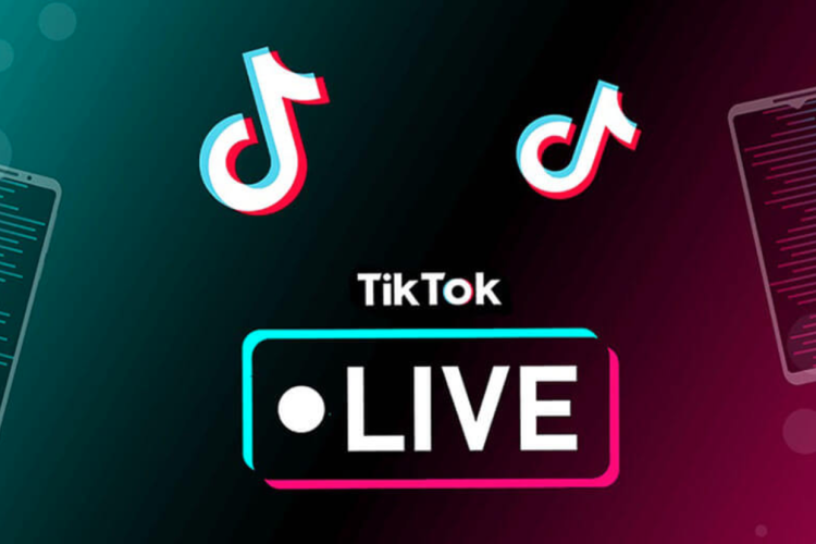 Ilustrasi Live Tiktok/ist