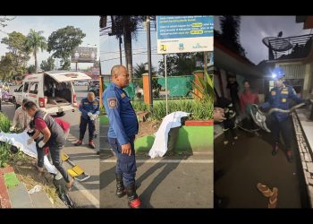 Pria mabuk di Garut bikin heboh warga setelah melepaskan ular sanca tiga meter ke area permukiman, beruntung tim Damkar cepat mengevakuasi/Kolase IST