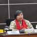 Ketua Komisi Nasional Hak Asasi Manusia (Komnas HAM) Anis Hidayah. (Foto: Komnas HAM)