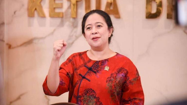 Ketua DPR RI, Puan Maharani (Foto: dokumentasi PDIP)