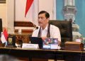 Dewan Ekonomi Nasional (DEN), Luhut Binsar Pandjaitan