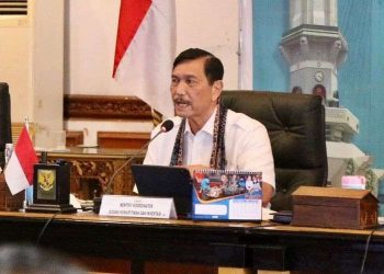 Dewan Ekonomi Nasional (DEN), Luhut Binsar Pandjaitan