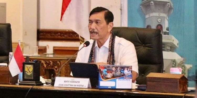 Dewan Ekonomi Nasional (DEN), Luhut Binsar Pandjaitan