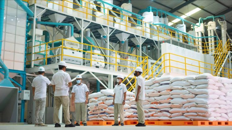 Perkuat Ketahanan Pangan, Bulog Siap Bangun 100 Gudang dengan Dana Rp5 Triliun/Bulog