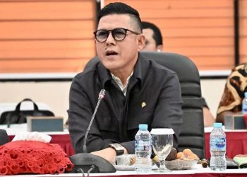 Uji materi UU P2SK di MK menuai debat. Soedeson Tandra menilai pembatasan pensiun melindungi peserta, pemohon anggap justru merugikan pekerja.(Foto: Istimewa)