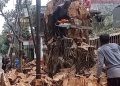 Pemotongan Pohon tumbang di Cianjur