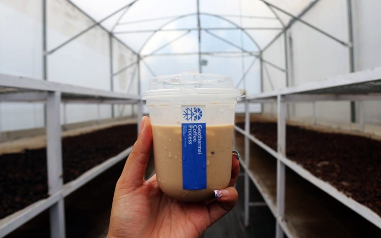 Geothermal Coffee Kamojang