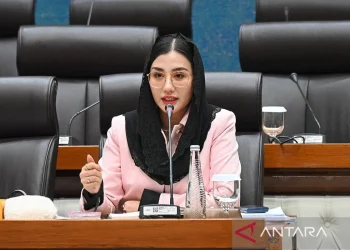 Anggota Komisi VII DPR RI Novita Hardini. ANTARA/HO-DPR/aa.