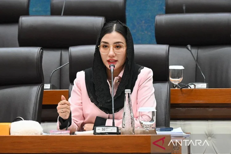 Anggota Komisi VII DPR RI Novita Hardini. ANTARA/HO-DPR/aa.