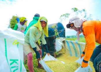 Peningkatan produksi beras dan kinerja sektor pertanian di tahun pertama pemerintahan Prabowo mendapat apresiasi Komisi IV DPR, dinilai mendorong stabilitas ekonomi dan kesejahteraan petani.(Foto:doc.Kementan)