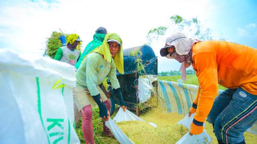 Peningkatan produksi beras dan kinerja sektor pertanian di tahun pertama pemerintahan Prabowo mendapat apresiasi Komisi IV DPR, dinilai mendorong stabilitas ekonomi dan kesejahteraan petani.(Foto:doc.Kementan)