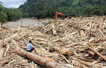 Kemenhut dan Bupati Tapsel saling bantah soal izin tebang kayu di Tapanuli Selatan, masing-masing klaim temuan berbeda di lapangan.(Ist)