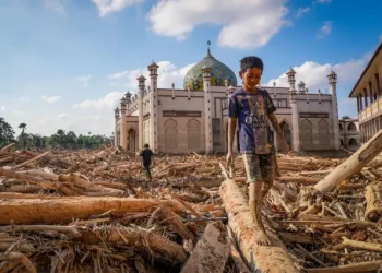 Sandri Rumanama membantah tuduhan JATAM yang mengaitkan Presiden Prabowo dan PT THL dengan banjir Sumatera, (Foto:Istimewa)