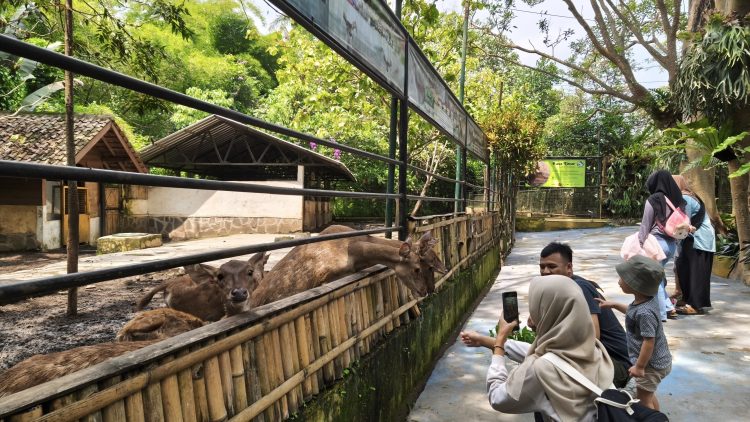 Wisatawan melakukan interaksi dengan satwa