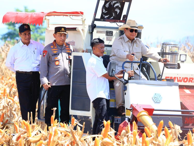 Indonesia mengakhiri impor jagung setelah 53 tahun dan mulai mengekspor.(Foto: Istimewa)