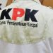 Ketua Umum DPP Gencar Indonesia Charma Afrianto meminta KPK memperluas pengawasan ke Kota Palembang (istimewa)
