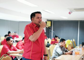 Wasekretaris Jenderal Depinas SOKSI, Rouli Rajagukguk, (Istimewa)
